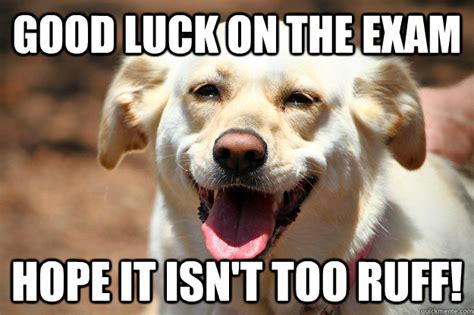 Good luck on the exam Hope it isn't too ruff! - good luck dog - quickmeme