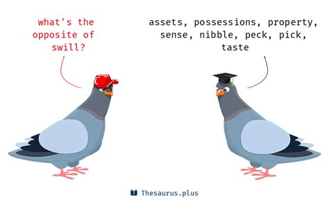 swill synonyms  swill antonyms similar   words  swill