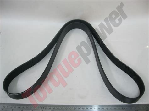 8PK1445 - BELT V RIBBED 1445MM 8PK - Torquepower