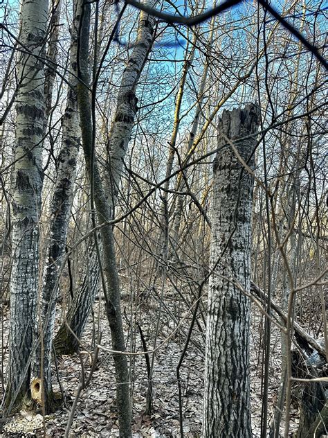 Kryssi 🇨🇦 on Twitter: "https://t.co/a5f8mHTq3r" / Twitter