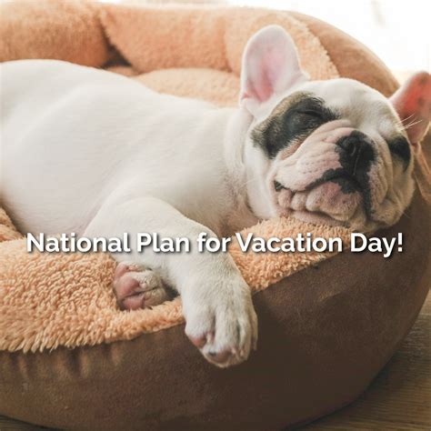 Learn exactly what the vca animal hospital silverdale wa offers 25