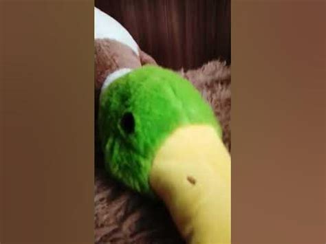 #анимация #роблокс - YouTube