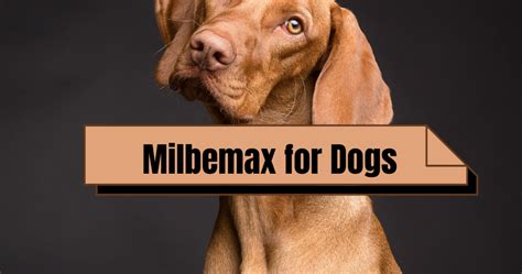 Milbemax for Dogs