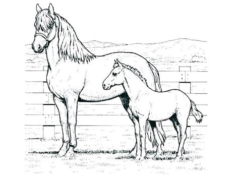 Mustang Horse Coloring Pages Printable at GetColorings.com | Free ...