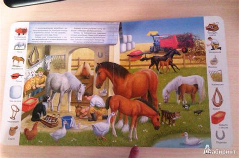 Книга: На ферме - . Купить книгу, читать рецензии | Лабиринт