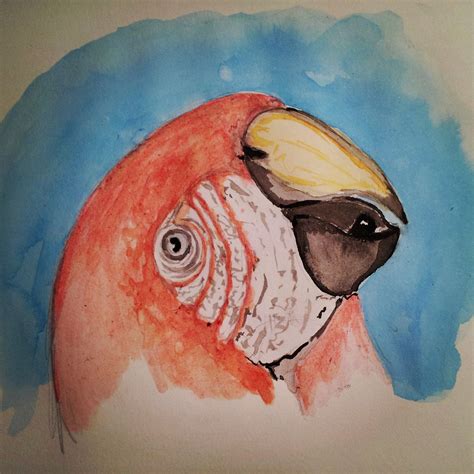 Aquarela | Pinterest