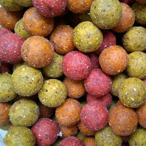 boilie mix mm kg boilies kopen voervoorvisnl