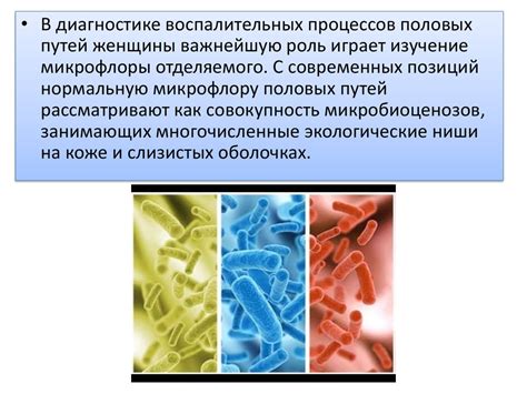 Микрофлора влагалища - презентация онлайн