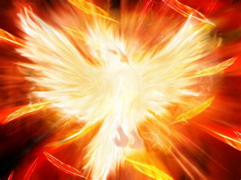 sharkelben: FENIX...