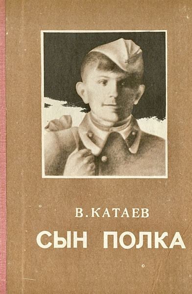 Сын палка | Катаев Валентин Петрович - купить с доставкой по выгодным ...