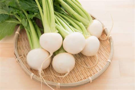 brassica rapa rapa foto stok potret gambar bebas royalti istock