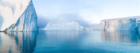 Arctic Cruise | Best Deals & Packages | Cruise1st | Cruise1st.com.au