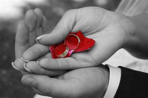 Wedding Rings · Free photo on Pixabay