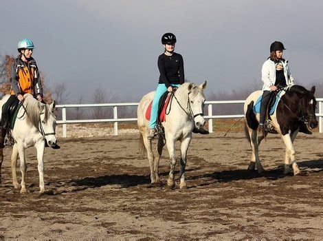 Konjički klub Pegasos u Sarajevu - mjesto gdje su ljudi i konji ...
