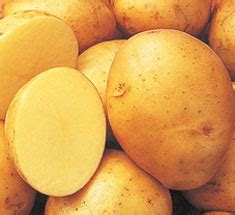 potatoes information potato facts gurneys