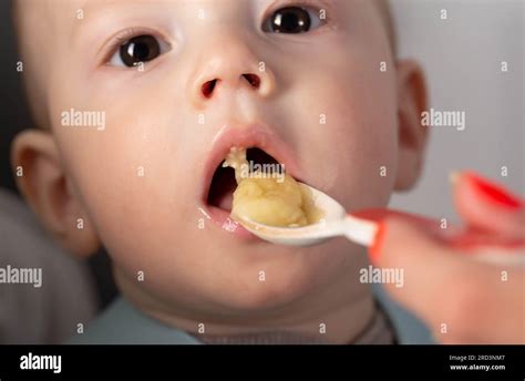 feeding  fruit puree   baby boy    months