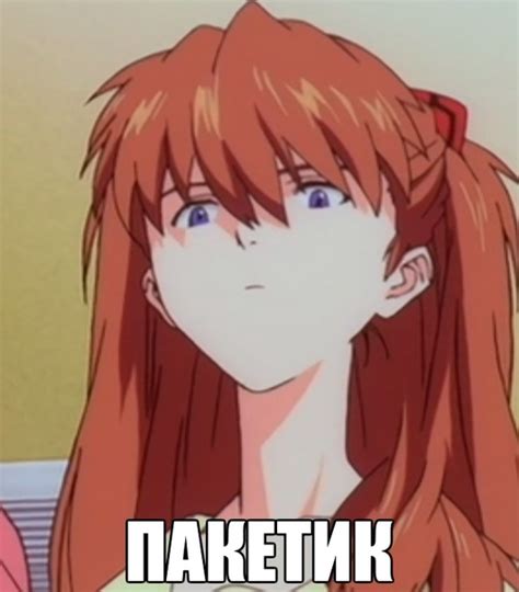 котэ :: пакет :: Хлебушек :: не еш подумой :: КОТ В ПАКЕТЕ - SafeReactor