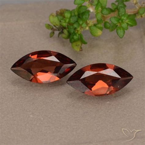 Loose Pyrope Garnet Gemstones for Sale - In Stock, ready to Ship ...