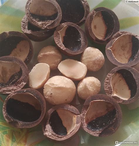 Орехи Макадамия Cacao cow - «Орех Макадамия. А вы знаете для чего можно ...