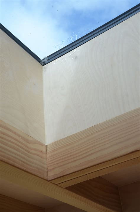 Buzzing extension — Silvan Architects