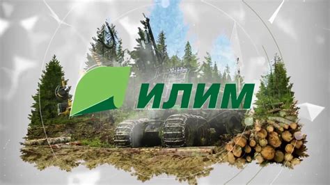 Группа «Илим» — крупнейшая компания российской целлюлозно-бумажной ...