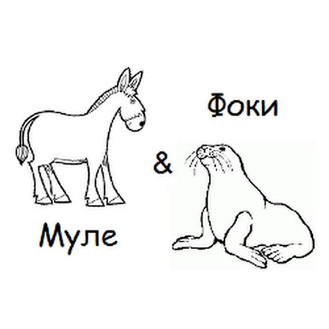 Муле и Фоки - YouTube
