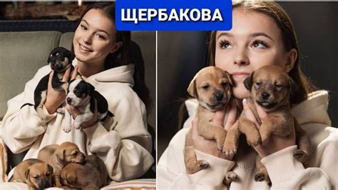 Анна ЩЕРБАКОВА | ИЩУТ ХОЗЯЕВ: Олимпиада, Ласточка, Аксель.... - YouTube