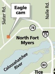 Famous Bald Eagle cam returns to North Fort Myers
