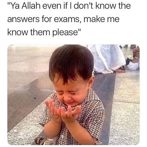 islamic memes exams memes arabic jokes muslim memes
