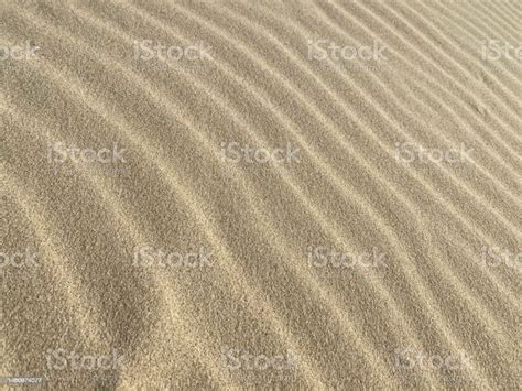 ripples   sand formed   wind stock photo  image