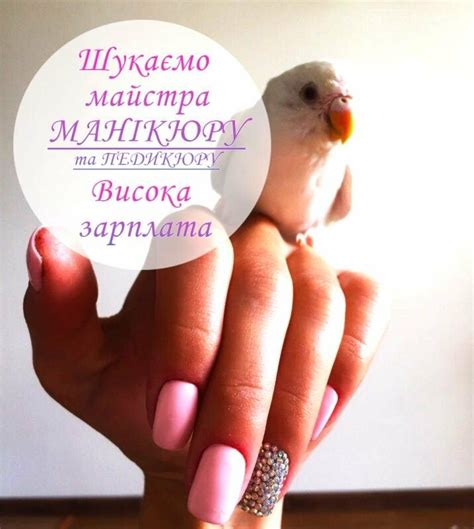 Шукаємо майстра манікюру та педикюру - Оголошення на 0352.ua