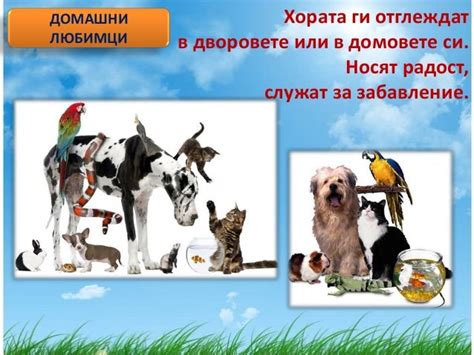 животните около нас