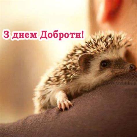 З днем доброти