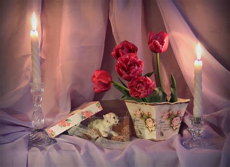 Still-life, Tulips, Candles, Vase, Red, Flowerpot, HD Wallpaper | Rare