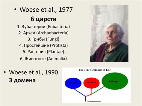 Современная биосистематика - презентация онлайн