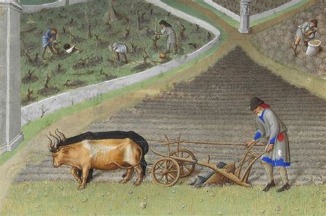 History of agriculture, Early middle ages, Medieval