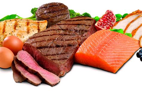 Las proteínas de alto valor biológico: ¿qué son y por qué son ...