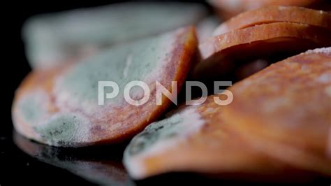 Moldy Meat