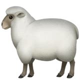 🐑 Ewe Emoji Meaning with Pictures: from A to Z