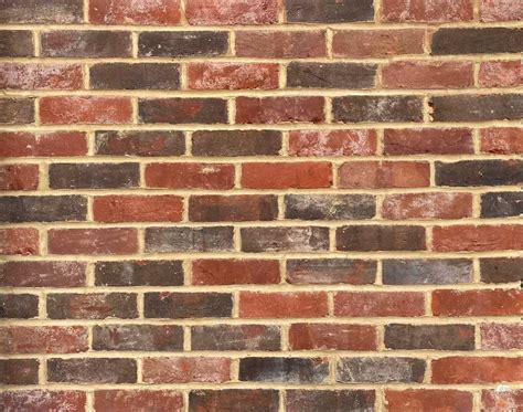 What Bricks Should You Use For Your Project