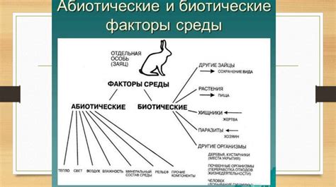 Условия существования организмов и экологические факторы среды - online ...