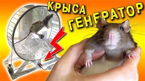 ВЕЧНЫЙ ДВИГАТЕЛЬ БЕСТОПЛИВНЫЙ ГЕНЕРАТОР СВОБОДНОЙ ЭНЕРГИИ!! FREE ENERGY ...