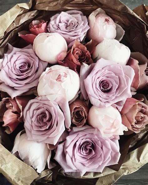 Розы из цветного — любовь😋 | Flowers, Plants, Rose