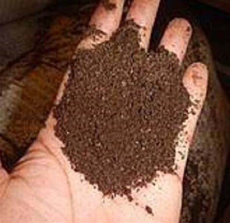 BAT GUANO ORGANIC FERTILIZER "CONCENTRATED" | Lazada PH
