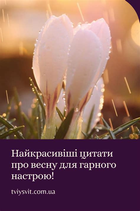 Найкрасивіші цитати про весну для вашого натхнення! | Poetry, Seasons