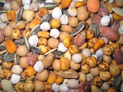 dry  photo  freeimages