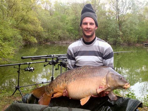 Les carpes communes et miroirs photographiées par les pêcheurs