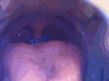 Deepthroat Blowjob GIFs | Tenor