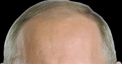 Путин В.В | Пикабу