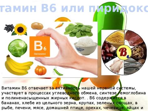 Витамины группы В (презентация)